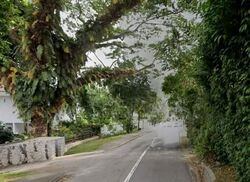 Turf Club Road (D11), Detached #637228421
